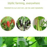 🔥Last Day 49% OFF-Reusable Plant Support Clips (100 clips)