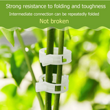 🔥Last Day 49% OFF-Reusable Plant Support Clips (100 clips)